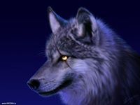 عمار العجيلي