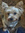 Alex Carver | 4626 comments