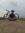 Baraput...