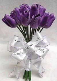 حبيبة والداي