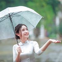 M Linh