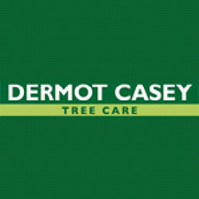 Tree Surveys By DC Tree Care