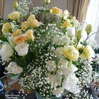 أسماء أم على ونور