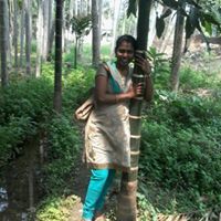 Sheeba Vincent