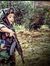 Ahmed A...