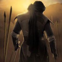 مصطفى دراوشه