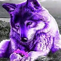 Catherine Fitzgerald