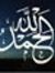 Karim S...