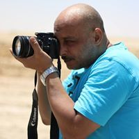 محمد الشربيني