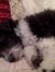 Abby