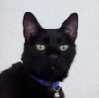 Camilo