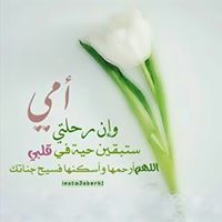 شيماء بهنسى
