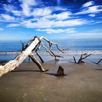 Nancy Strazza Van Gorp