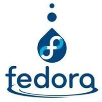 Chandu Fedora