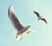 سامي بن حسين