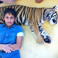 Risshail Sethi