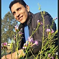 الشاعر الفياض