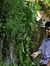 Nidhish