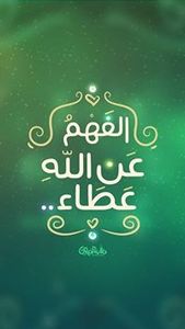 Nour Koedr