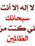 أكرم رشيد