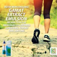 Yulian Ina