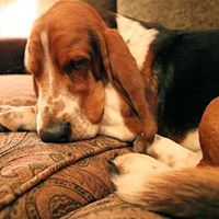 აბგსდფევზი კლიმნოგრი