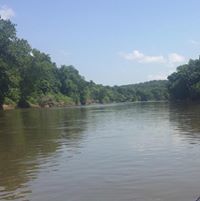 Cassi Warrender-Farmer