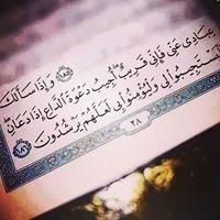 Taghred Alaa