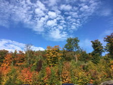 Cammilla ( Emerald )