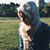 Areej Awad