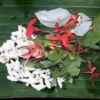 Shailaja Unniampurath