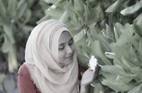 Shifxa Ahmed