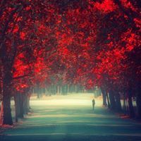 السكون المرتقب