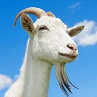 Βαγγέλης Πλ.