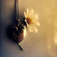 Hadeer Hassan