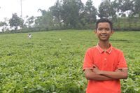 Darull Darull