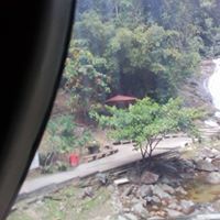 নীল সাম্পান