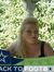 Lisa Hight
