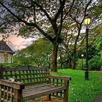 علي الجزائري