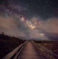 رقيقه الاوصاف