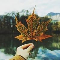 Elham القدس Emad