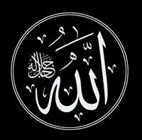 Ali Bin