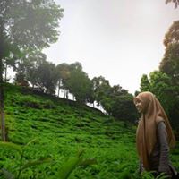 Dita Setya Putri