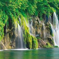 حبيبة العلم