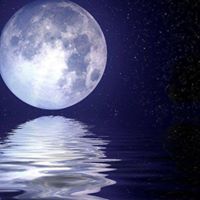 محمد الزعبي