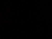 Дима Смирнов