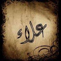 علاء الشيدون