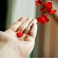 أترجة الوفا