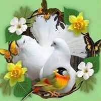 ഷൈജു മാത്യു