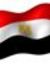 Amany Atef